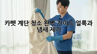 카펫 계단 청소 완벽 가이드: 얼룩과 냄새 제거!